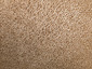 Lycoperdon molle