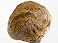 Asterophora lycoperdoides