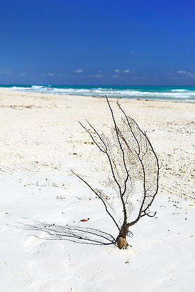 Playa del Carmen