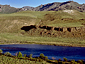 1999: Patagonia