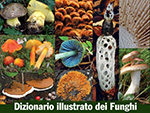 Dizionario